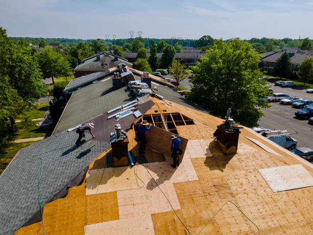 Trusted Roof Installation service in Annandale, MN - Brentwood Metal Roofing