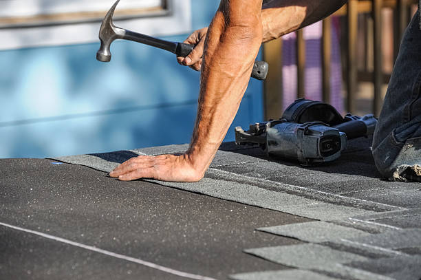 Affordable Storm Damage Roof Repair solutions in Annandale, MN